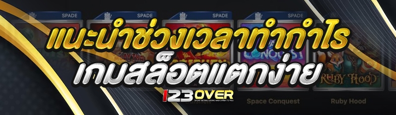 แนะนำช่วงเวลาทำกำไร